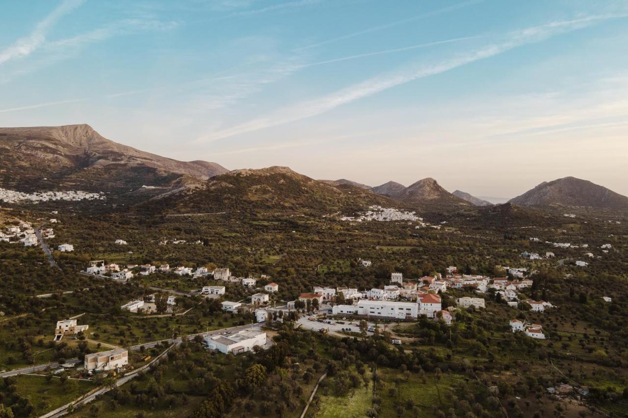 Chalki Apartments - Naxos Khalkion Экстерьер фото